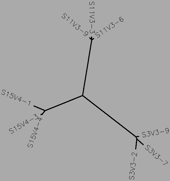 Rapid Progressor Mid-visit Tree