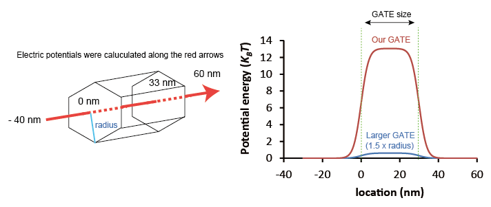 Electric potential at the center of hole in the GATE