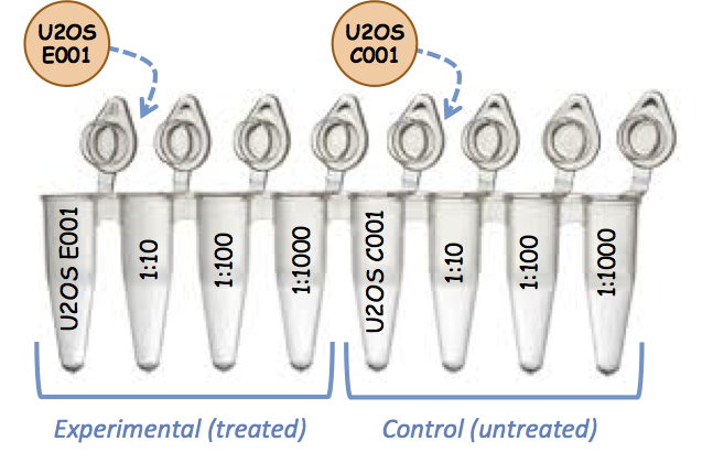 File:KAH cDNA tubes.jpg
