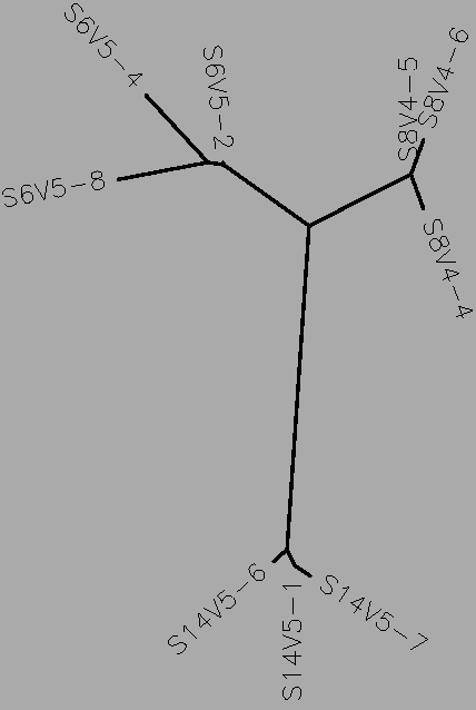 Moderate Progressor Mid-visit Tree