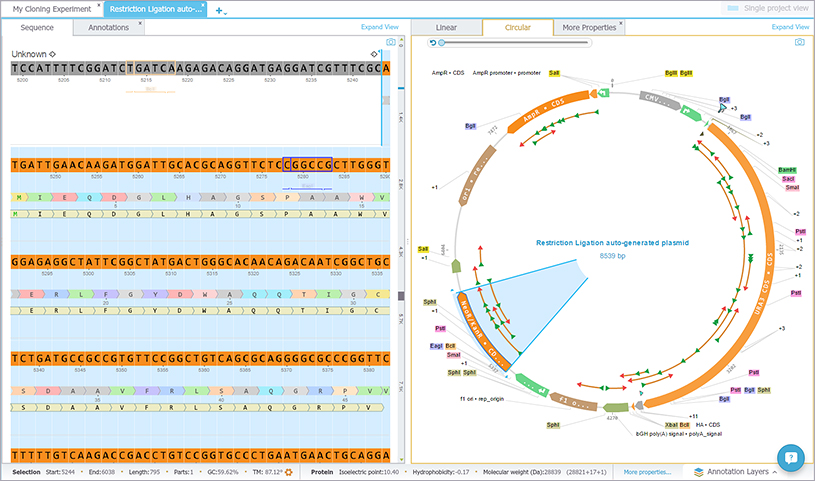 Restriction Ligation Cloning