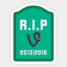 File:BME100 Group3 ProfilePicture RipVine.png