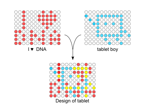 Design of DNA tablet