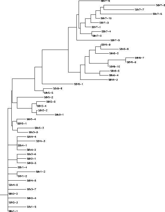 Subject 8 Rooted Tree