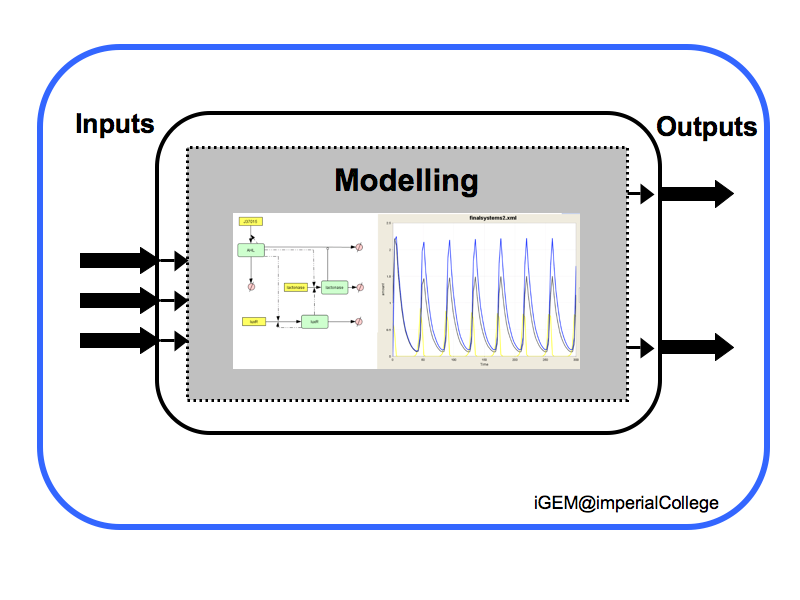 File:IGEM IMPERIAL Methodology Modelling.png