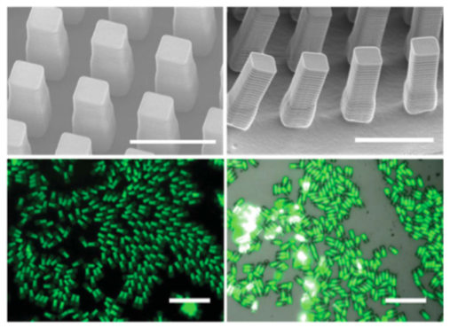 File:Janus Particles Example.png