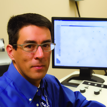 File:Sjett looking official.jpg