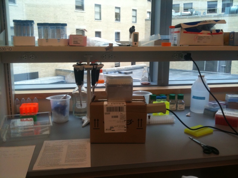 File:Reaction chamber.jpg