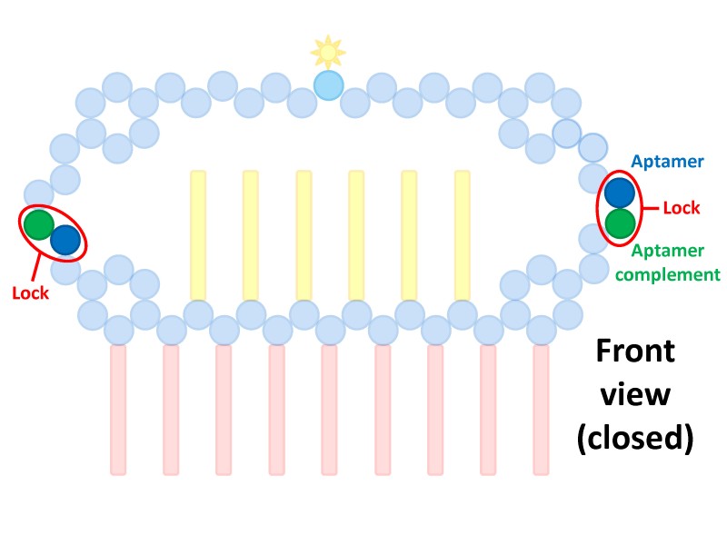 File:BM12 nanosaurs 5 locks front.jpg