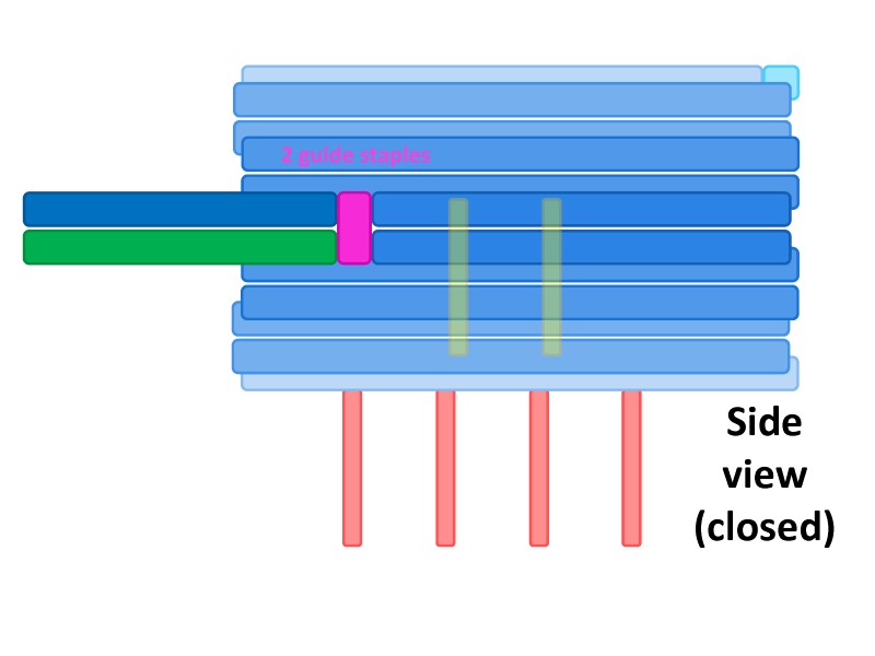 File:BM12 nanosaurs 7 guide staple side.jpg
