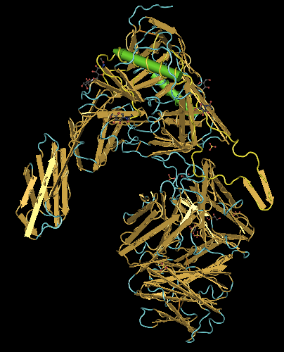 secondary structure for the gp120 protein