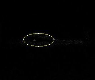 Name: Negative Control