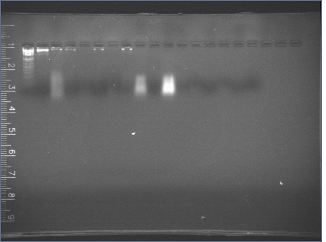 File:2006-08-15 14hr 09min.jpg