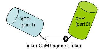 File:Macintosh HD-Users-nkuldell-Desktop-cameleon apo.png