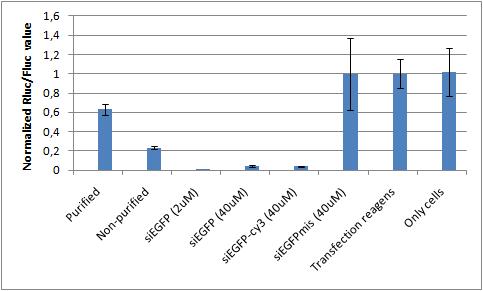 File:DKnano Projekt-22-Luciferase knockdown.jpg