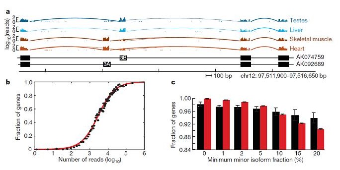 File:RNA-Seq pres.jpg