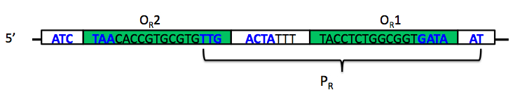 File:S11-M2 lambda-PR.jpg