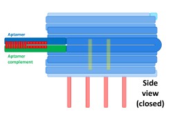 File:BM12 nanosaurs 5 locks side s.jpg