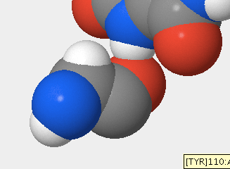 The bond between oxoguanine and glycine 42