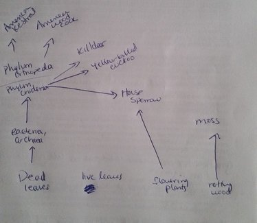 File:Rsz 1rsz 120160221 134629.jpg