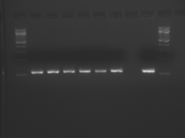 File:S10 M1D5 WF bottom-half.jpg