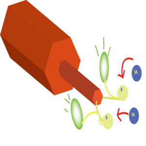 File:Des 2 2 4thparagraph-Todai.png