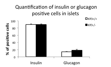 File:Ihc quantitation.jpg