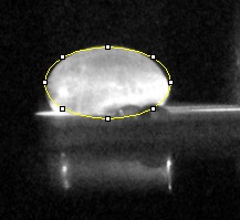 File:Lab D callibration 1 imagej.jpg