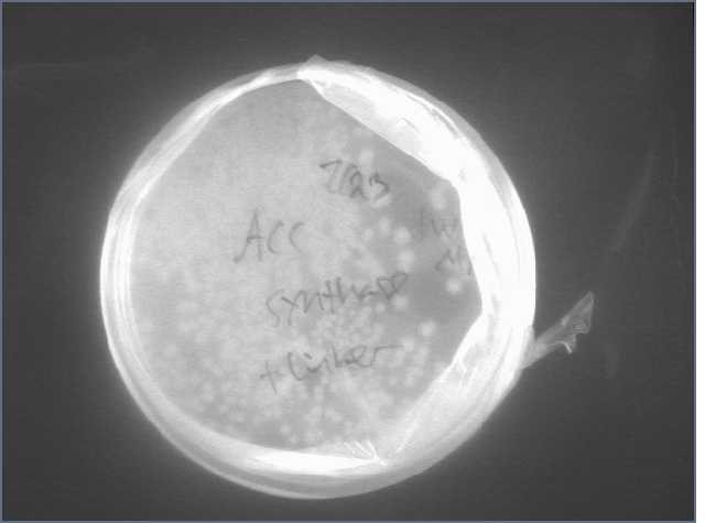 File:ACC linker lig 7-23.jpg