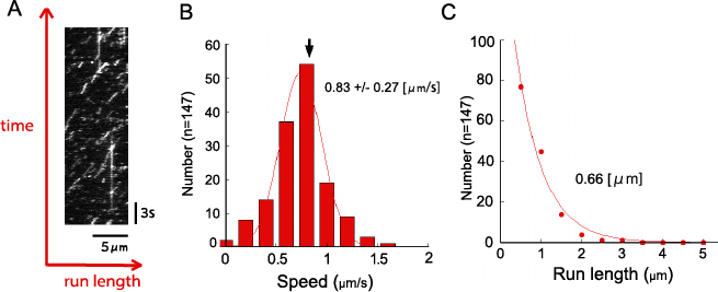 File:KaseiFigure 2-3.png