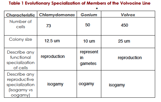 File:Screen Shot 2014-01-31 at 10.06.54 PM.png