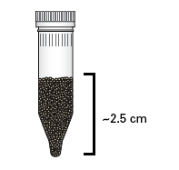 File:ZirconiaBeads.png