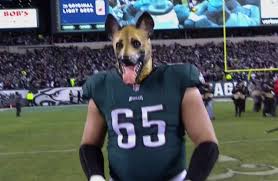 File:Eaglesdog.jpg