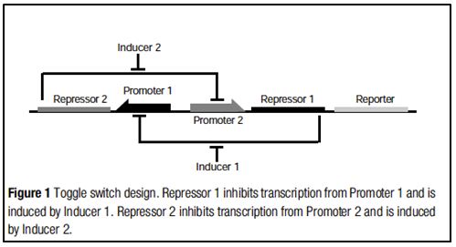Capture_toggle_block_diagram.JPG