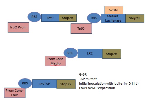 File:UNAM LCG.Meetings. Gamma.8thApril.jpg