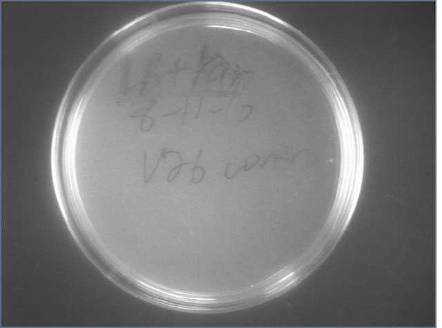 File:Barstar V26 8-11.jpg