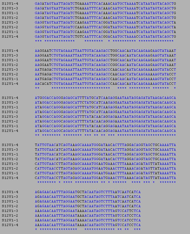 Subject 12 and 13 Alignment