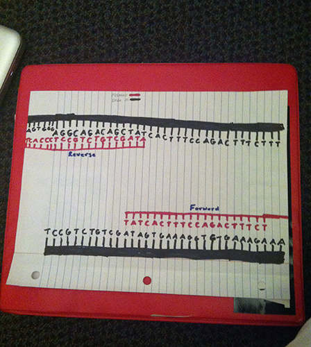 widthp800heightp800x