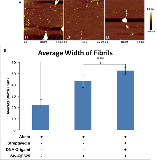 File:HKBU 2013 AnalW.png