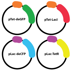 bistable four plasmids