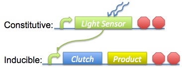 Basic Circuit Diagram