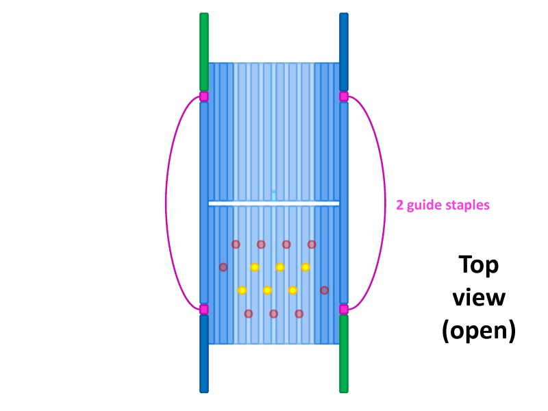 File:BM12 nanosaurs 7 guide staple top.jpg