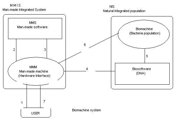 Biomachine system