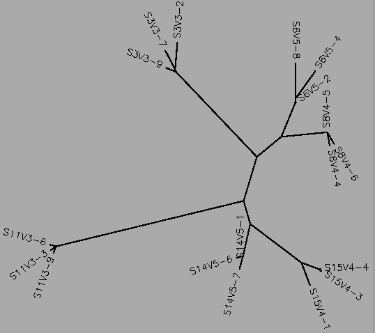 Rapid Progressor and Moderate Progressor Mid-Visit Tree