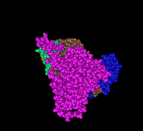 File:AV-MA-s4-spacefill-multimajormutations.png