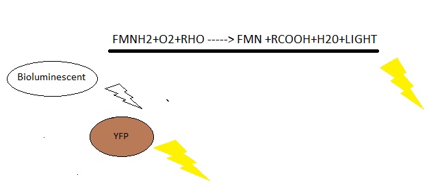 File:UNAM LCG.Meetings.18thMarch.jpg