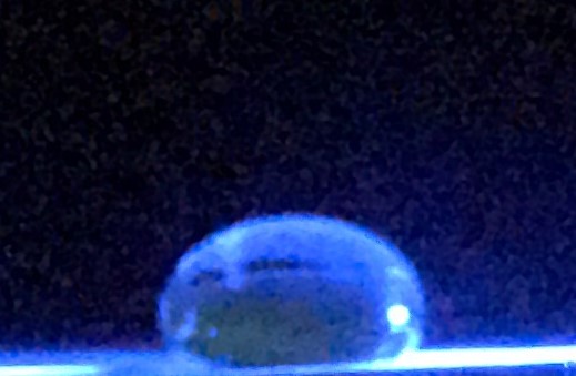 File:Group1 NegCont.jpeg