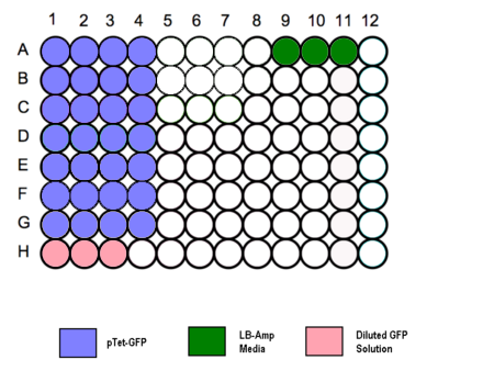 In vivo Testing 96 well plate