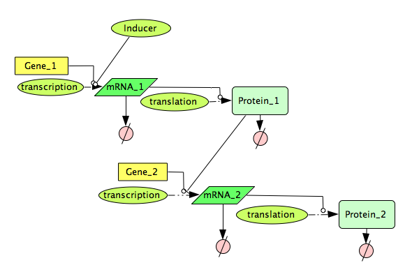 File:CellDesigner Simple Genetic Cascade Network.png