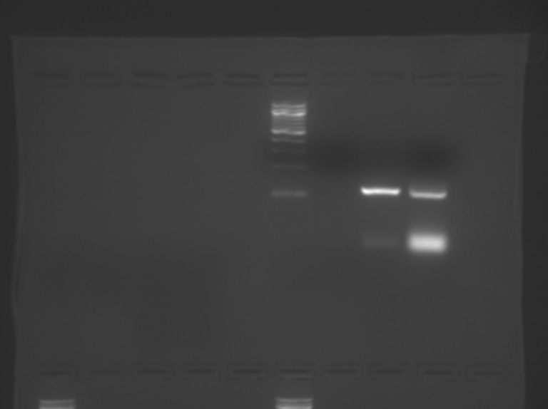 File:S10 M1D2 TR Prp.jpg